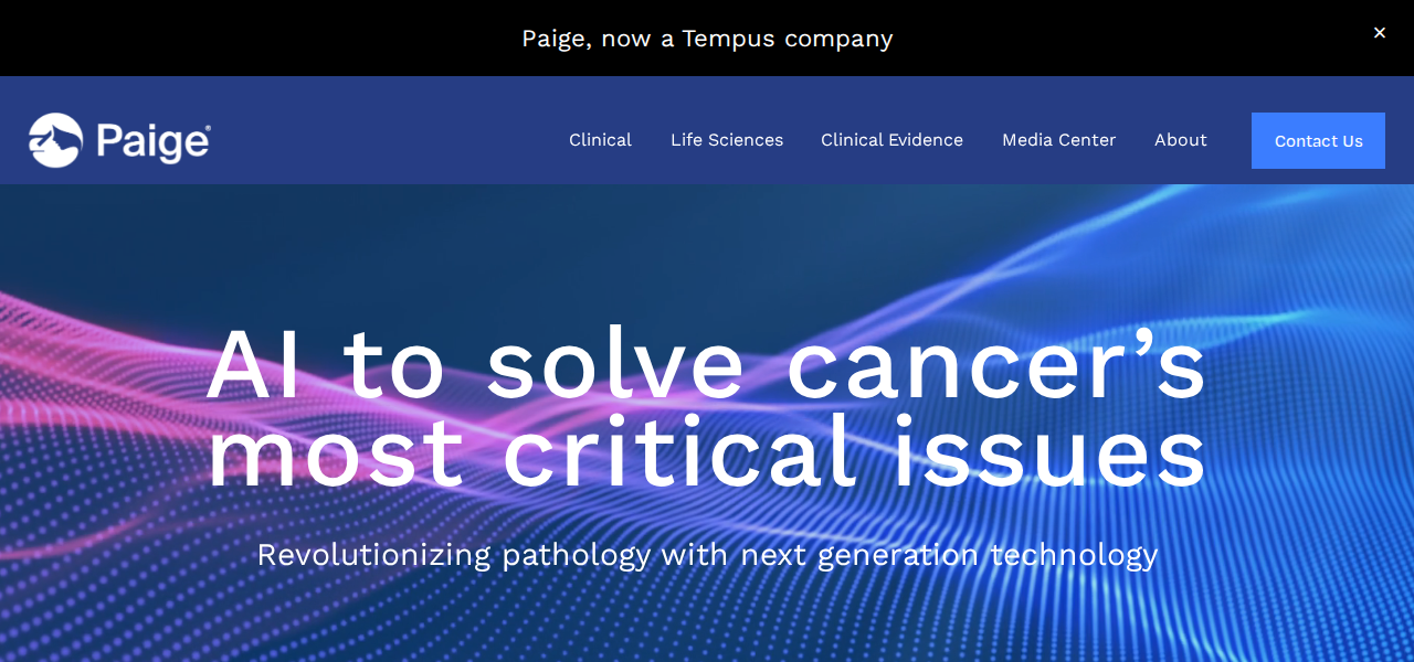 Snapshot of Paige Prostate