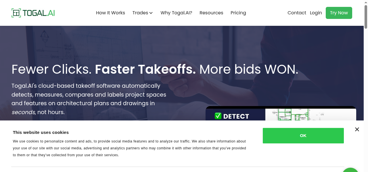 Snapshot of Togal.AI